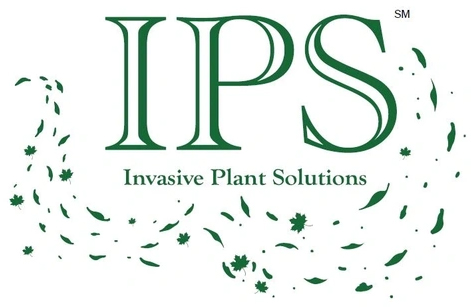 IPS Logo